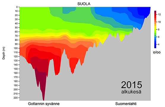 Suolaprofiili 2015